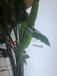 -春田皮肤管理中心品牌旗舰店