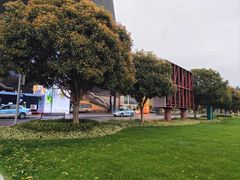 -张家界荷花国际机场航站楼-国内出发