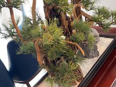 -顺峰(农展馆店)