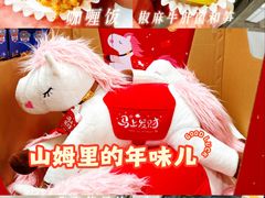 -山姆会员商店(上海浦东店)