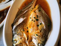 -华盛丰温州大排档(东三环南路店)