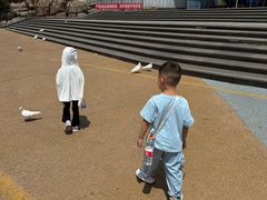 -烟台海昌鲸鲨海洋公园