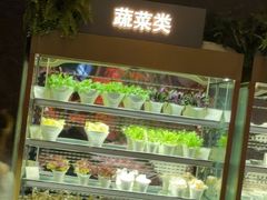 -半岛翡丽海鲜自助餐厅(观风亭店)