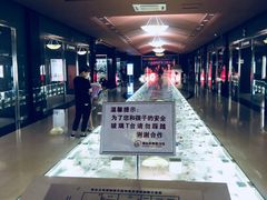 景点-青岛贝壳博物馆