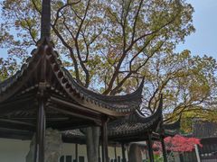 -苏州文庙(姑苏区)