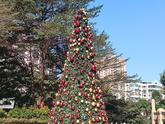 -威蒂斯国际健身游泳会所(东莞庄路店)