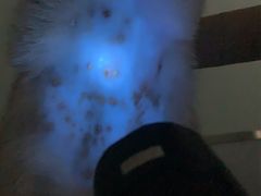 -佳雯宠物医院(金华南路分院)