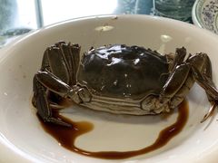 -十碗头(诚信路店)