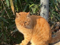 -终南山南五台景区