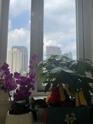-上海时光整形外科医院