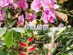 -上海辰山植物园