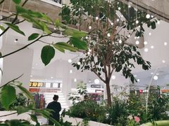 -大树餐厅(红旗街万达店)