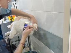 -全心全意动物诊疗中心医院(北苑店)