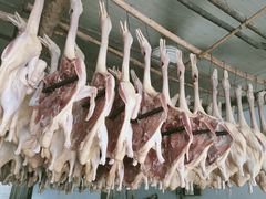 板鸭半成品-雷氏板鸭(红照壁南街店)