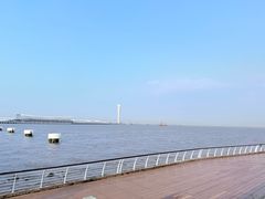 -吴淞炮台湾湿地森林公园烧烤区