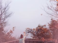 -天目湖涵田半山温泉