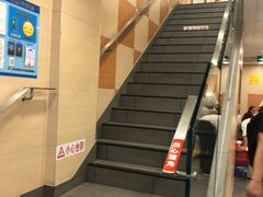 -振鼎鸡(福州路店)