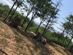 -济南野生动物世界