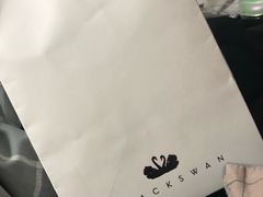 -BLACKSWAN黑天鹅(环球店)