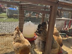 -HERRE·FARM 赫尔露营农场·团建聚会包场