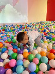 -恐龙探索乐园(磁器口店)