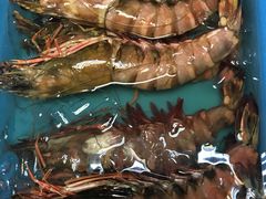 -ZF Seafood Restaurant 卓峰海鲜餐