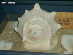 -亚龙湾中心广场·贝壳馆