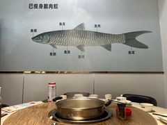 -港升鱼师傅·中山脆肉鲩