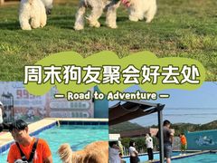 -趣玩宠物乐园寄养训犬训狗游泳池
