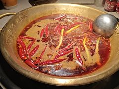 -小龙坎火锅(全球旗舰店)