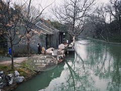 -扬州大运河文化旅游度假区·盆景园