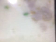 -真功夫(华凯广场店)