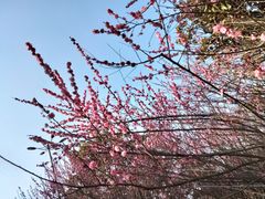 -上海野生动物园