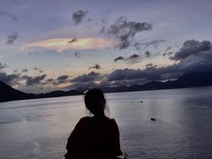 -杨梅坑