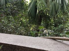 -畔山酒店中餐厅