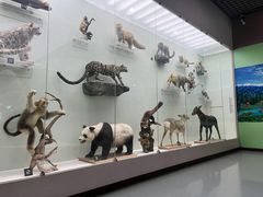 -国家自然博物馆