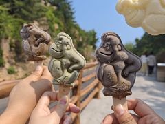 -西霞口神雕山野生动物世界