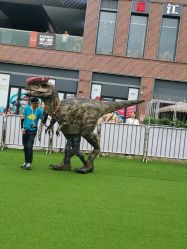 -恐龙探索乐园(磁器口店)