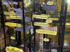 -蜜蜂家的红茶馆(华府店)