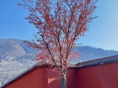 -五台山风景区