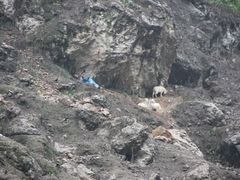 -神农溪纤夫文化旅游区