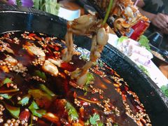 -味仙疯美蛙鱼头(清扬路总店)