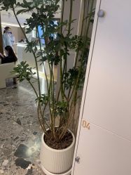 -北京漾格医疗美容医院