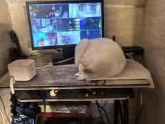 -张记牛肉面馆(天津路店)