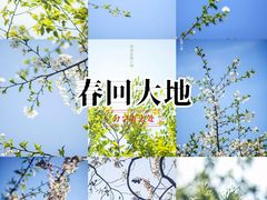 -湘湖金融镇