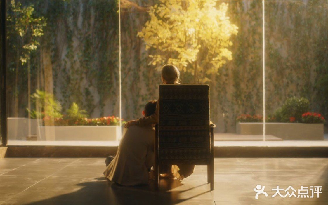 居家无聊，看电影是首选，有时候看看综艺里面推荐的短片