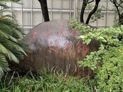 -上海海洋大学鱼文化博物馆(军工路校区)