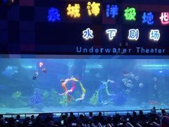 -泉城欧乐堡海洋极地世界