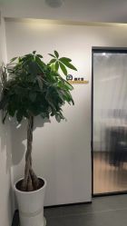 -宝贝家族国际影像馆(东郊记忆店)