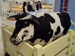 -红星前进面包牛奶公司(君太店)